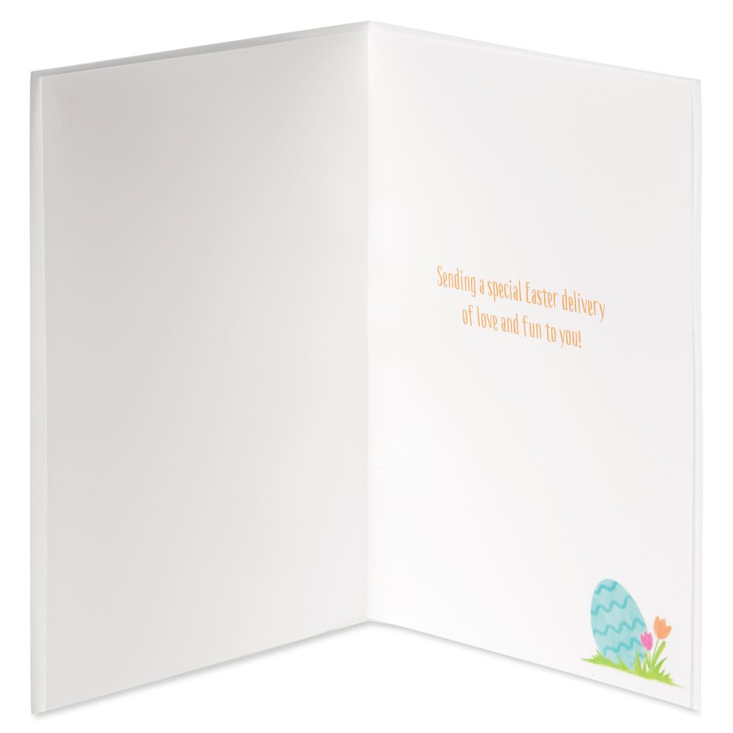Special Easter Delivery Easter Greeting Card with Bunny Finger Puppet Image 2