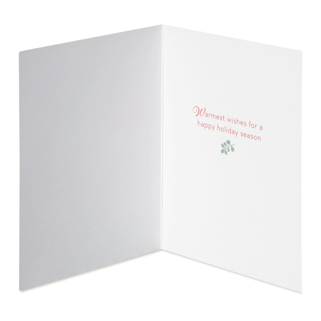 Warmest Wishes Christmas Boxed Cards with Envelopes, 20-Count