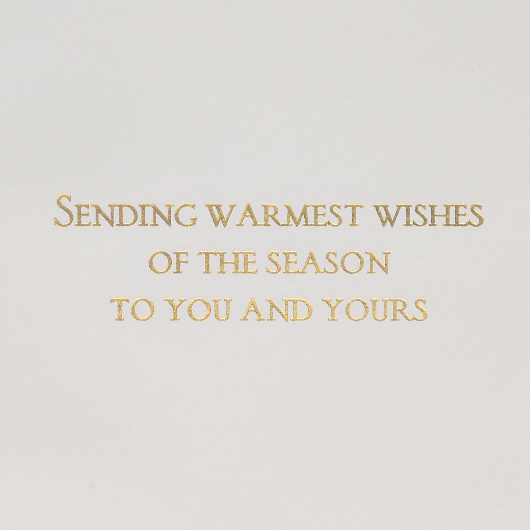 Warmest Wishes Christmas Greeting Card