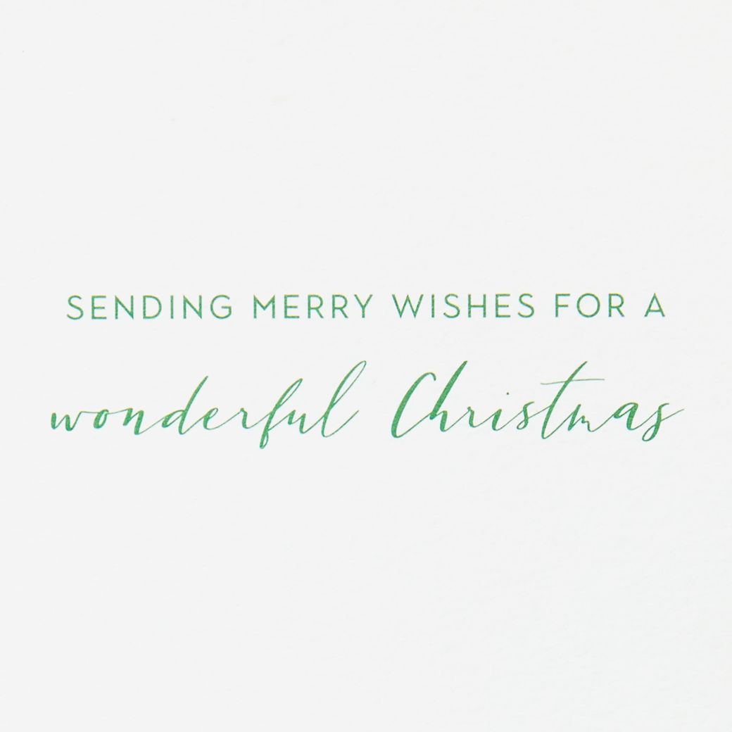 Merry Wishes Christmas Boxed Cards with Envelopes - Designed by Bella Pilar, 16-Count