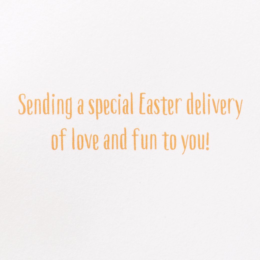 Special Easter Delivery Easter Greeting Card with Bunny Finger Puppet Image 3