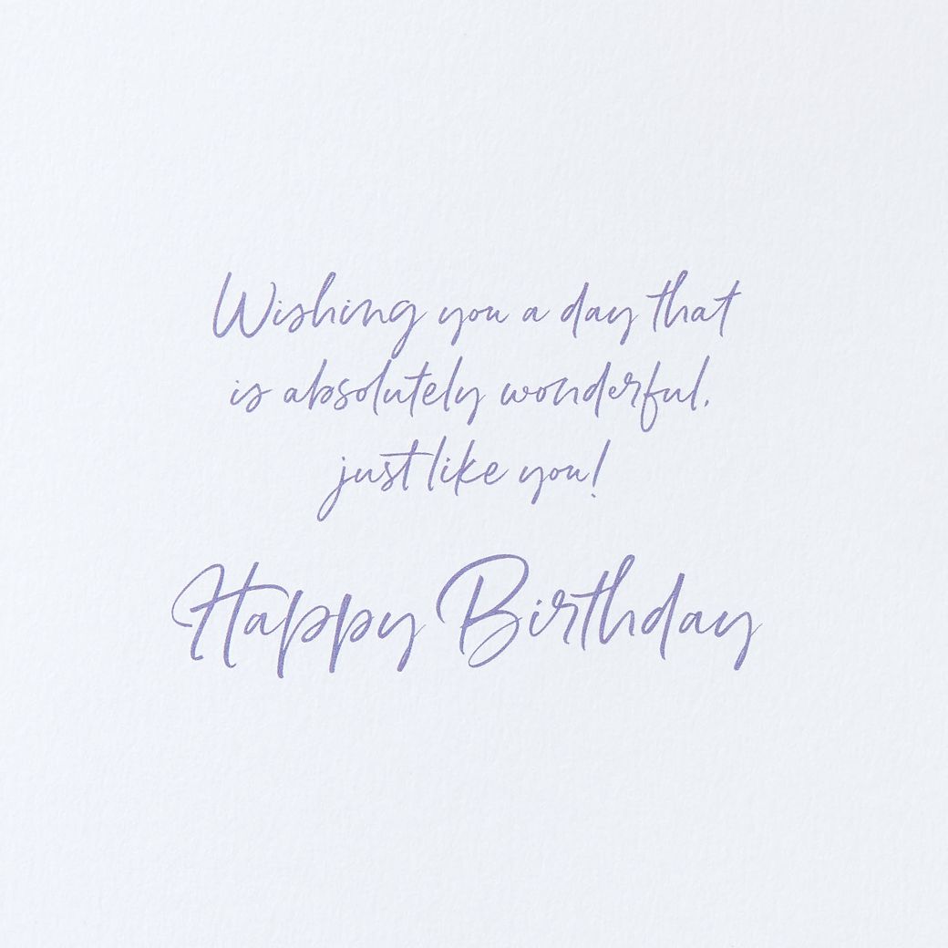 Absolutely Wonderful Birthday Greeting Card