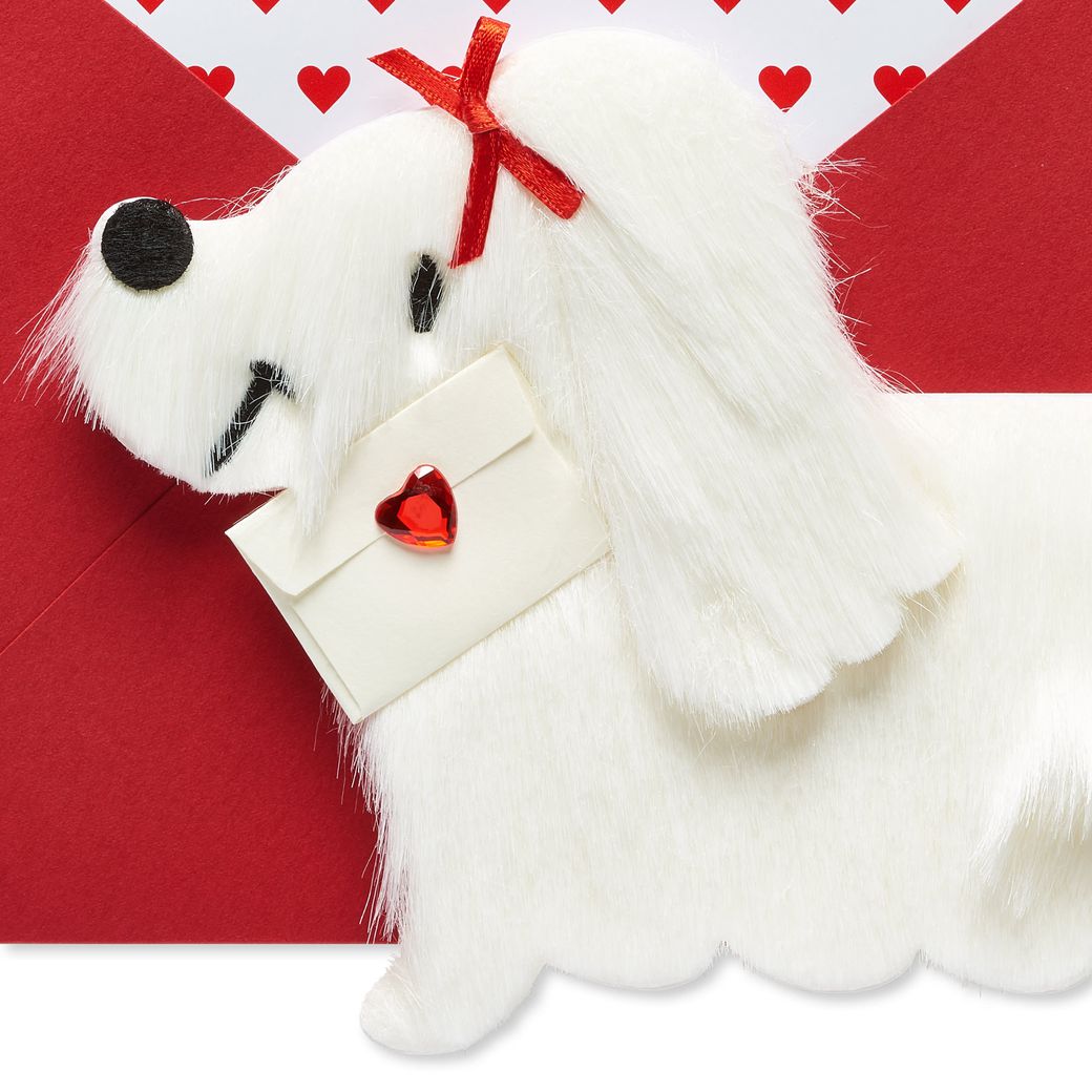 White Fur Dog with Letter Greeting Card Image 3