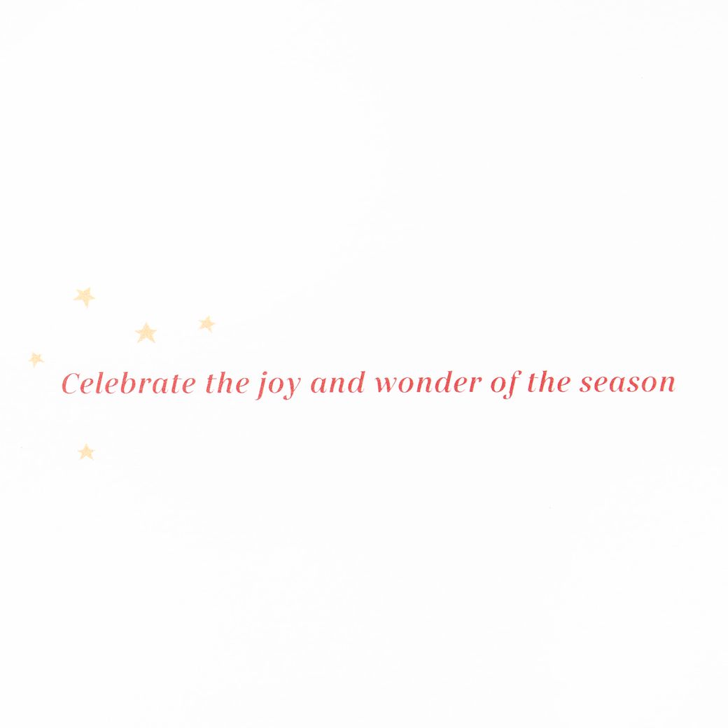  Joy and Wonder Christmas Boxed Cards with Envelopes, 12-Count