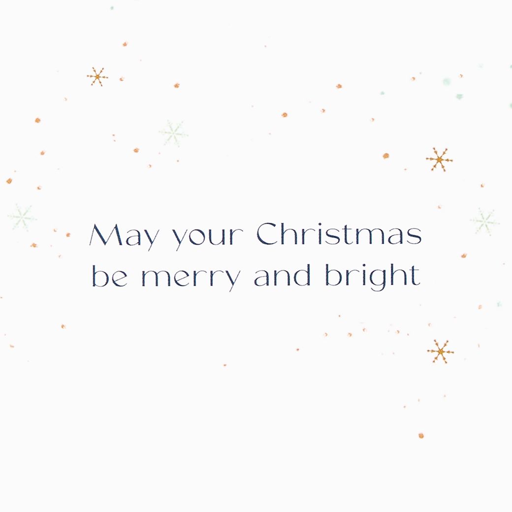 Merry and Bright Christmas Boxed Cards with Envelopes, 20-Count