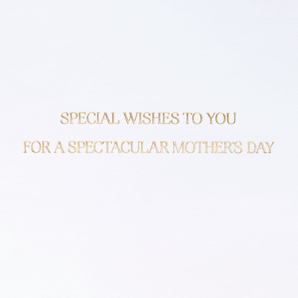 A Spectacular Day Mothers Day Greeting Card Image 3