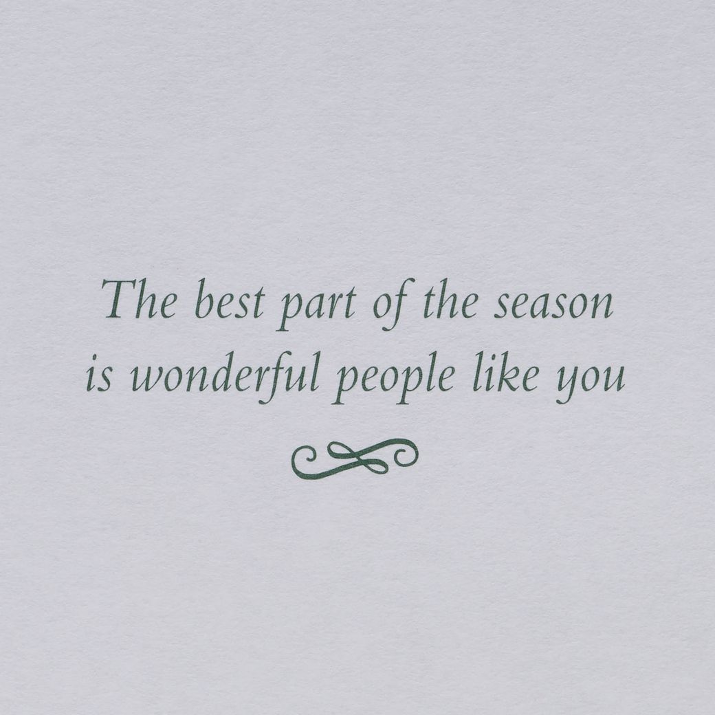 Wonderful People Like You Christmas Greeting Card