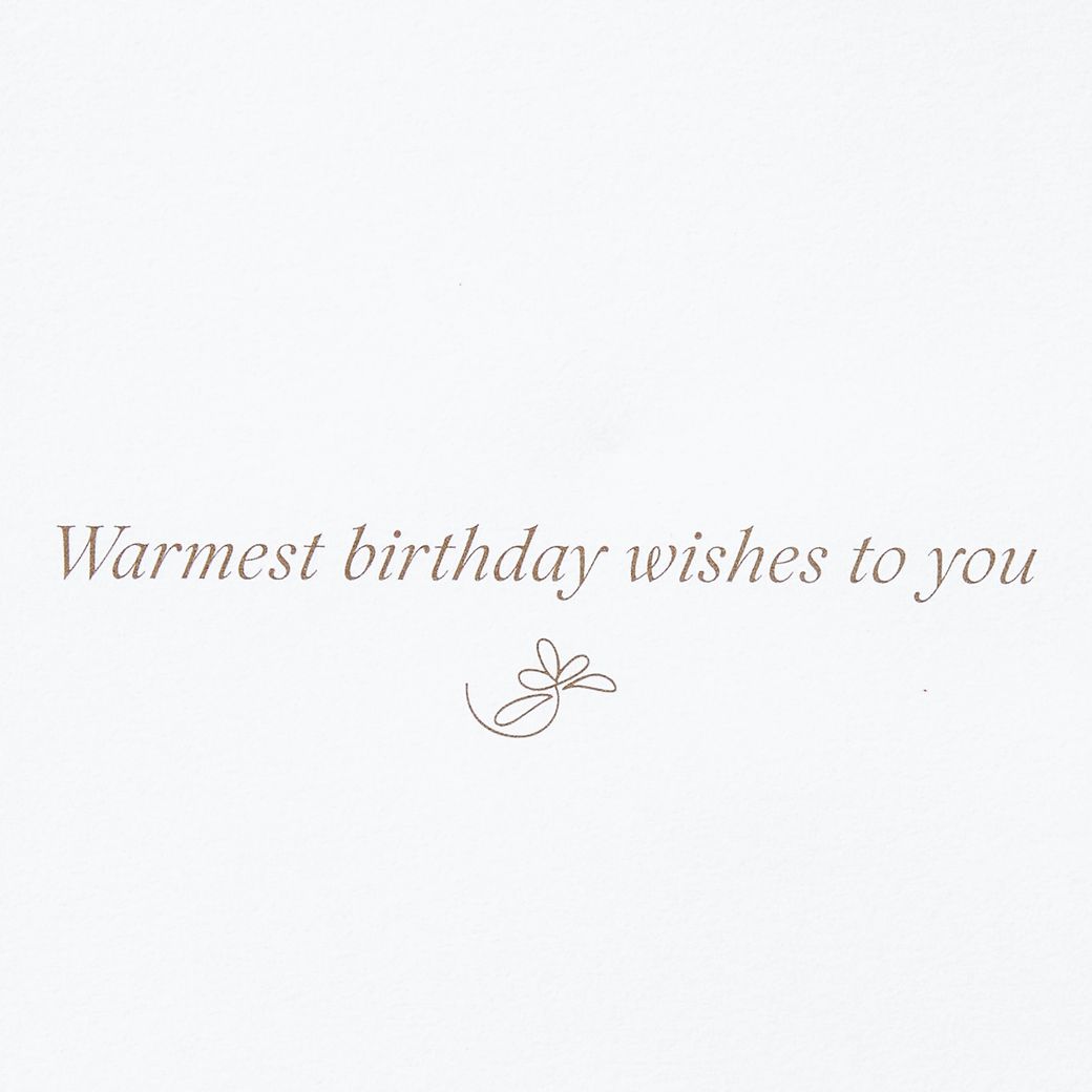 Warmest Birthday Wishes Birthday Greeting Card