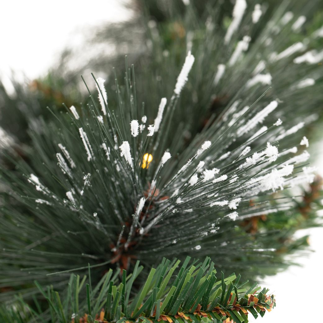 Wreath Carolina Pine Frosted