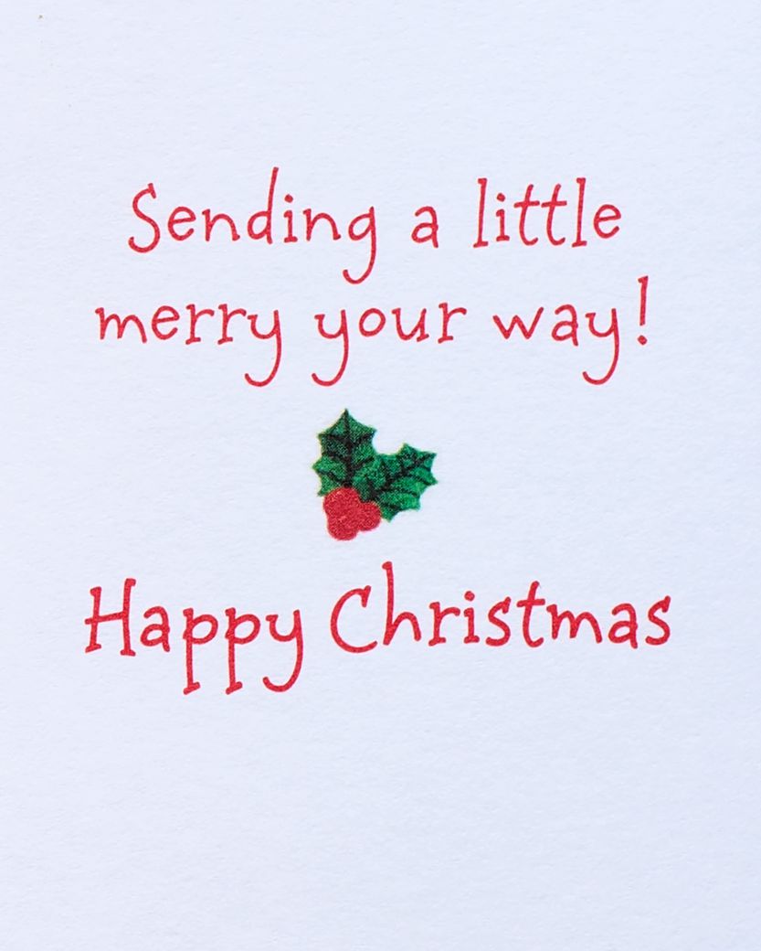 Sending a Little Merry Your Way Christmas Greeting Card 2