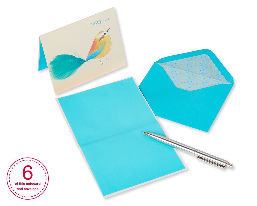  Papyrus Blank Thank You Card (Thank You Feather) : Office  Products
