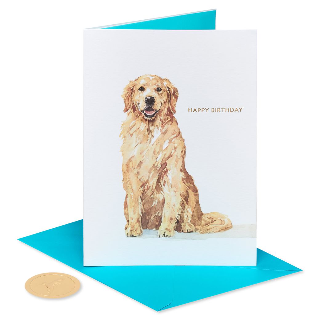 Celebrate and Enjoy Dog Birthday Greeting CardImage 1