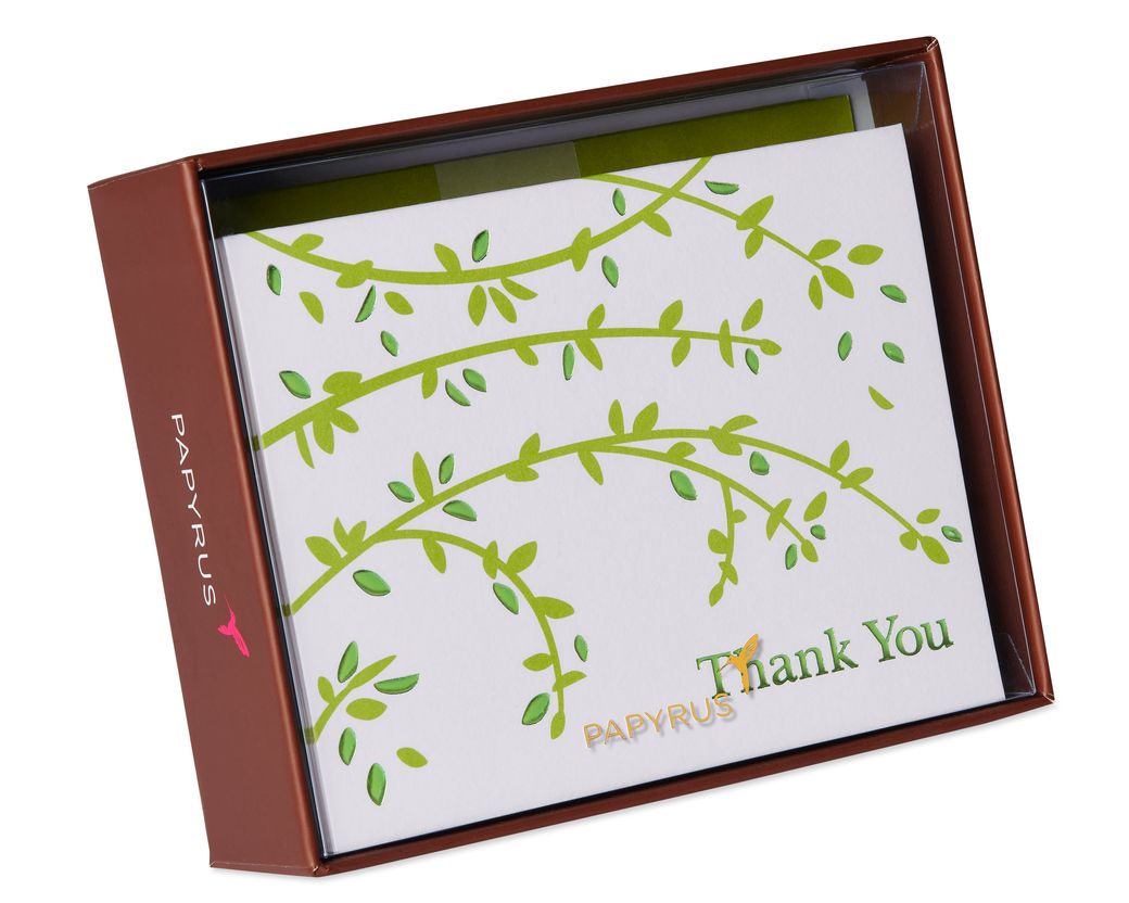 Branches Boxed Blank Note Cards, 20-Count - Papyrus