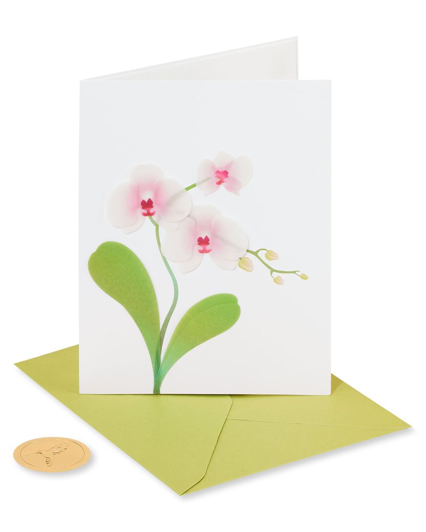 Orchid Blank Greeting Card - Papyrus