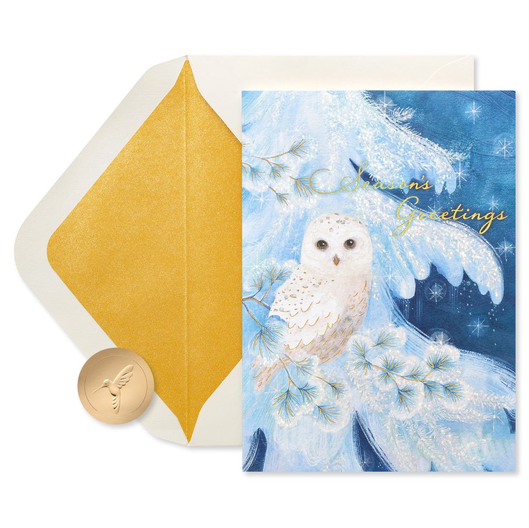 Snowy Owl Holiday Boxed Cards, 14-Count Image 1
