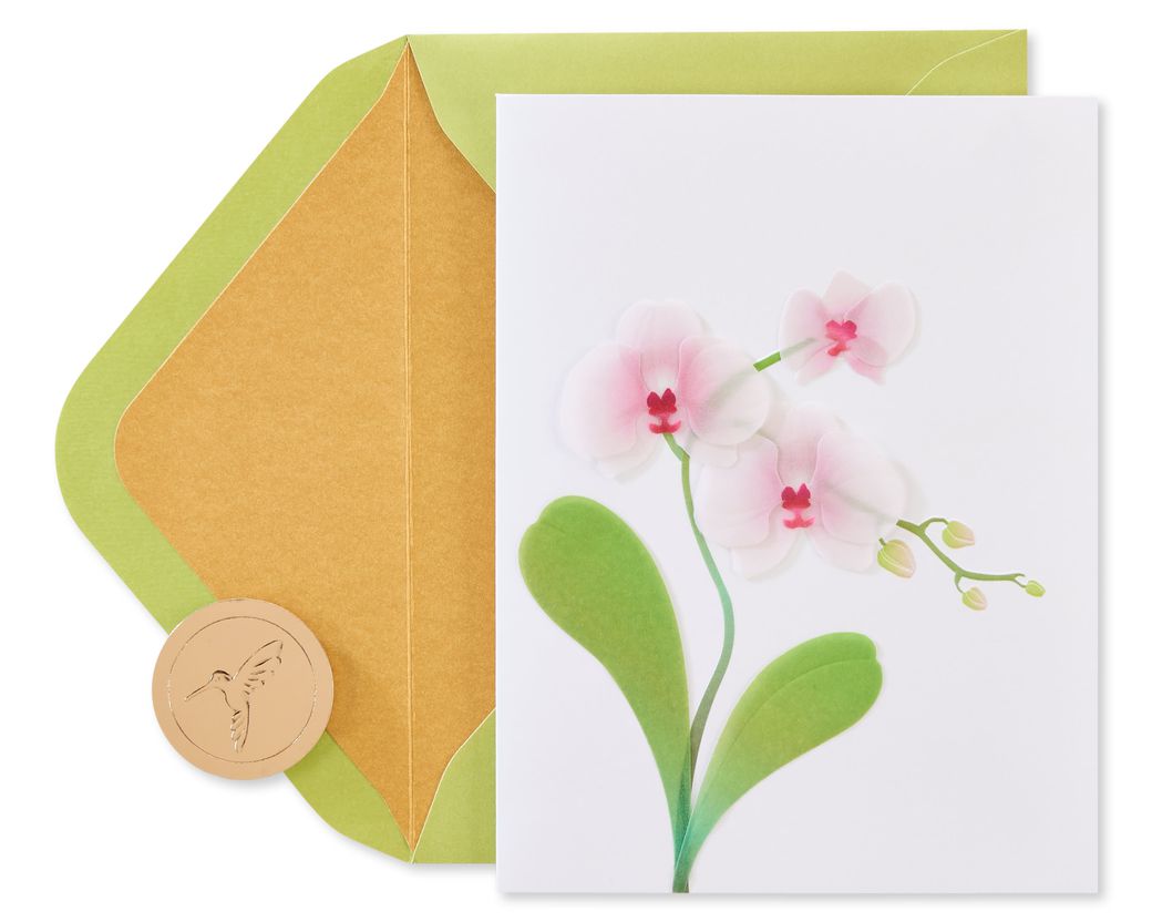 Orchid Blank Greeting Card - Papyrus