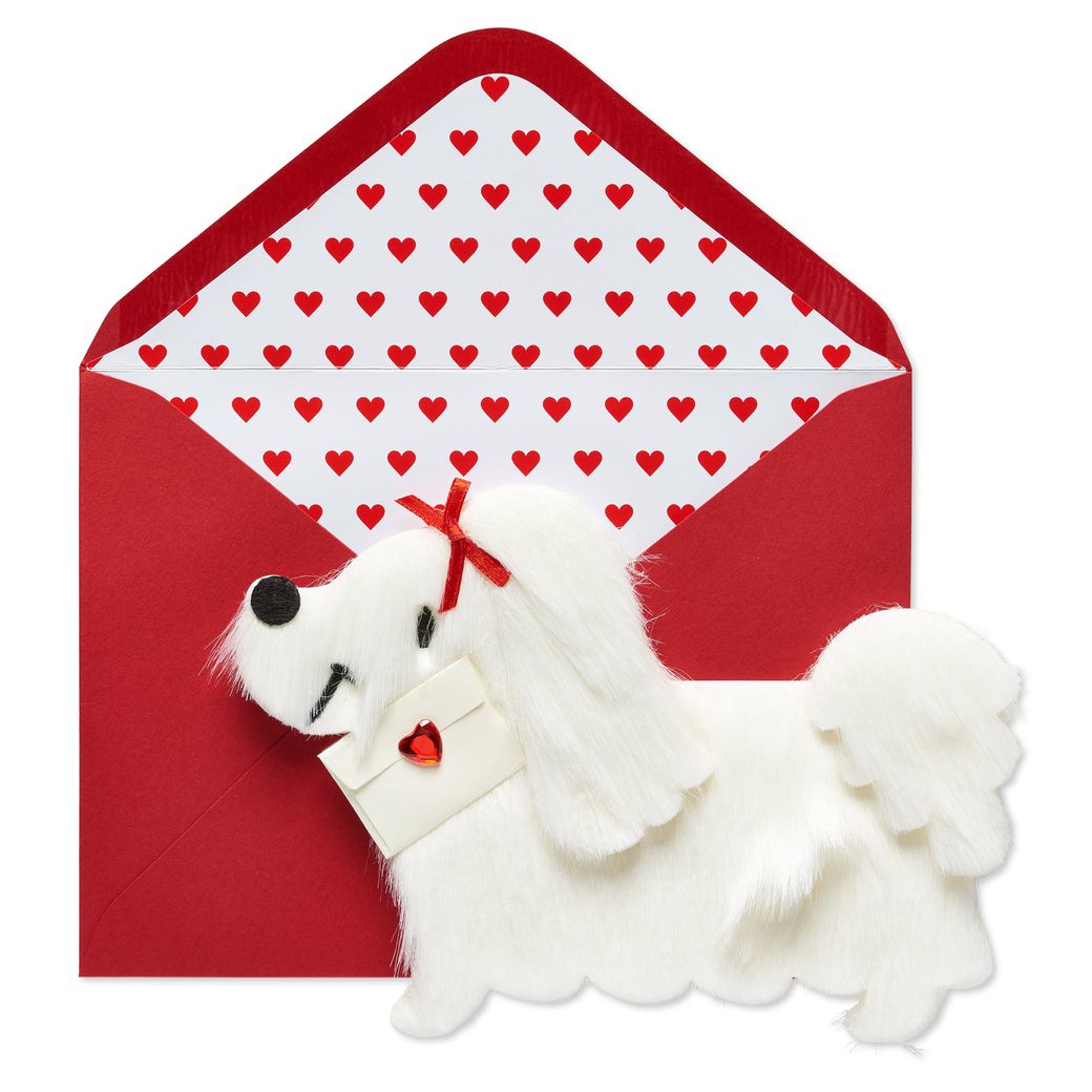 White Fur Dog with Letter Greeting Card Image 1