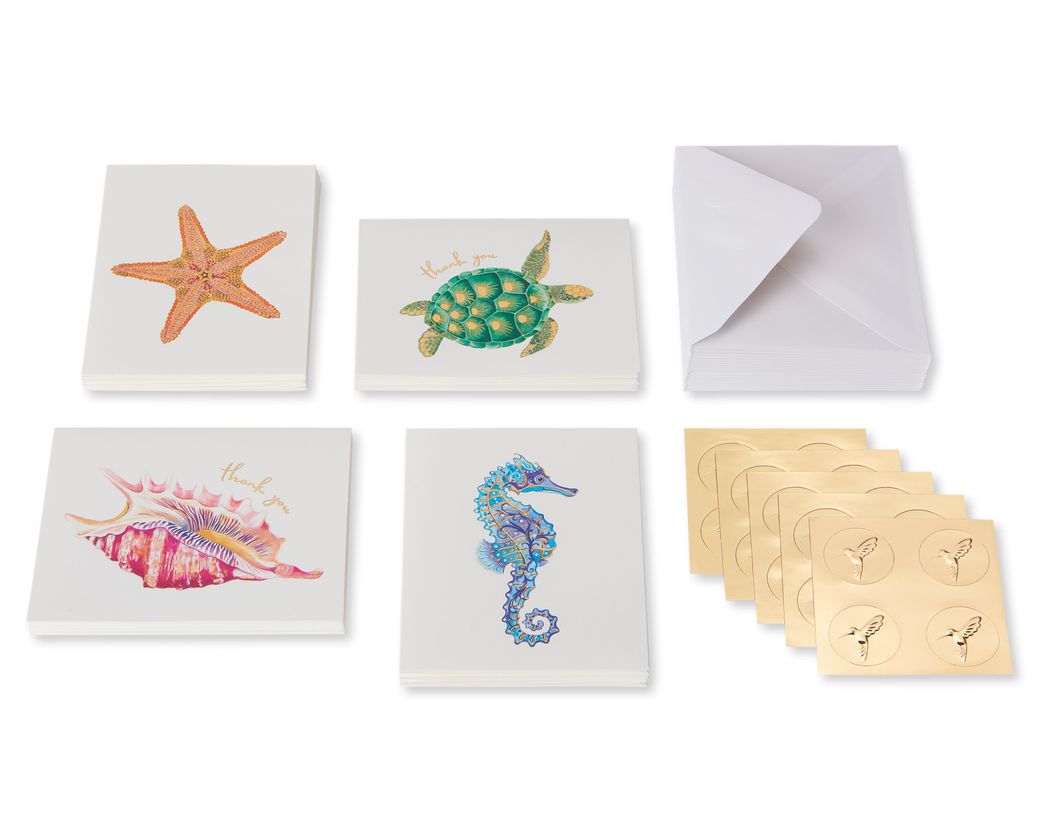 Sea Creatures Boxed Cards And Envelopes, 20-Count - Papyrus