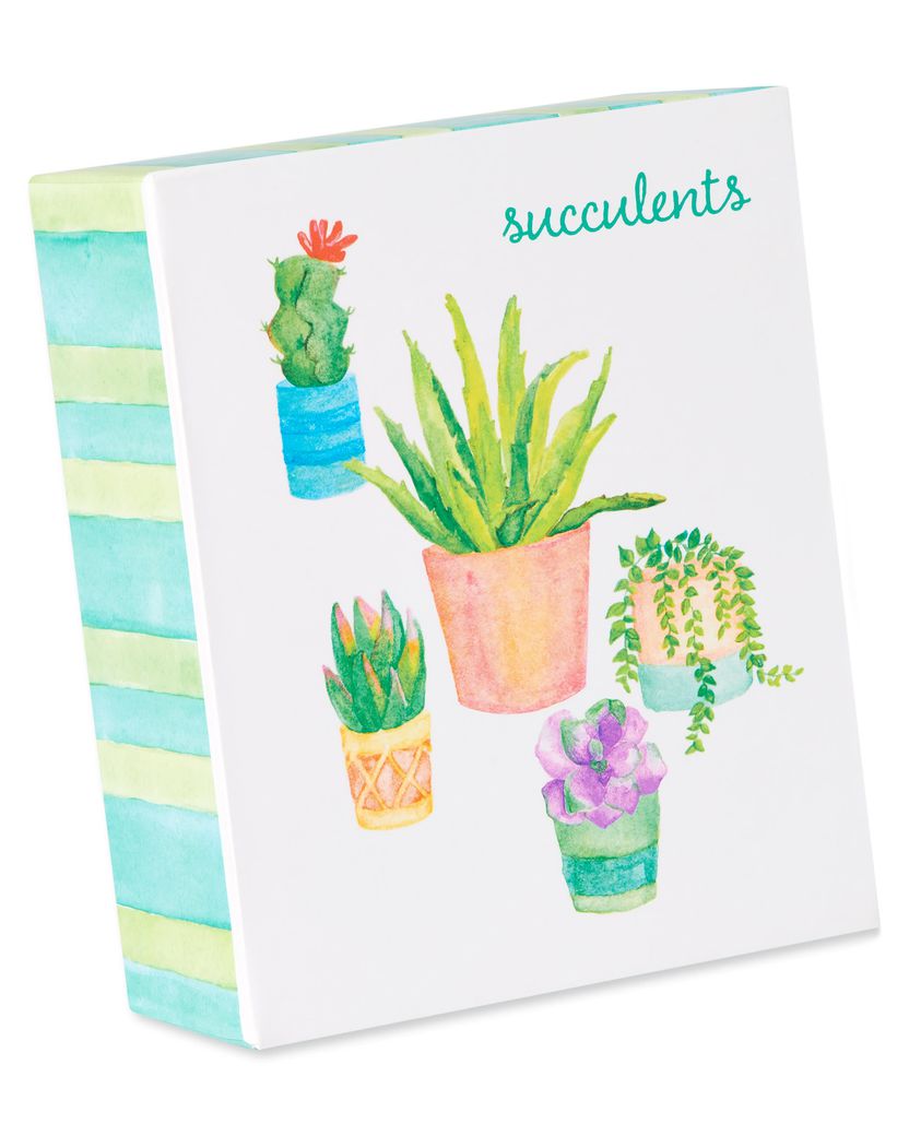 Succulent Thank You Cards With Envelopes, 20-Count - Papyrus