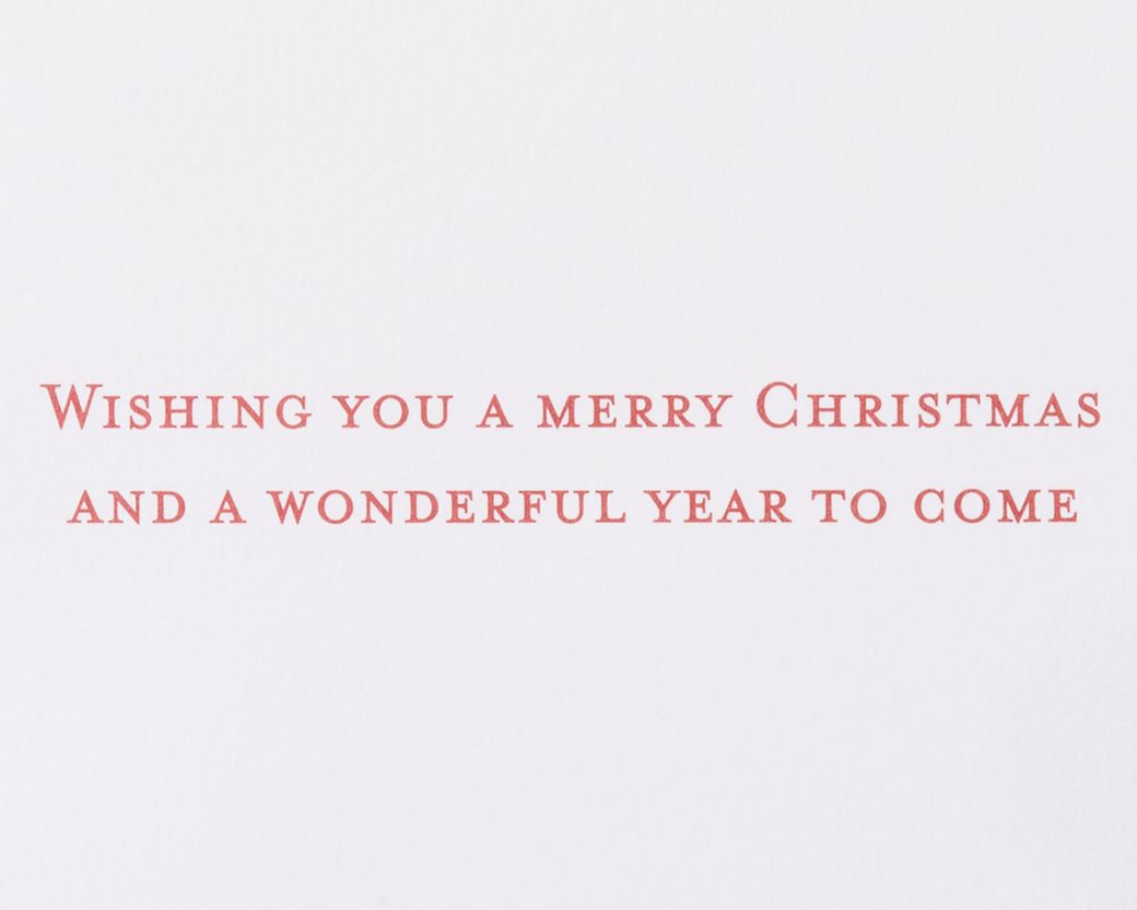 Wonderful Year to Come Christmas Greeting Card 5