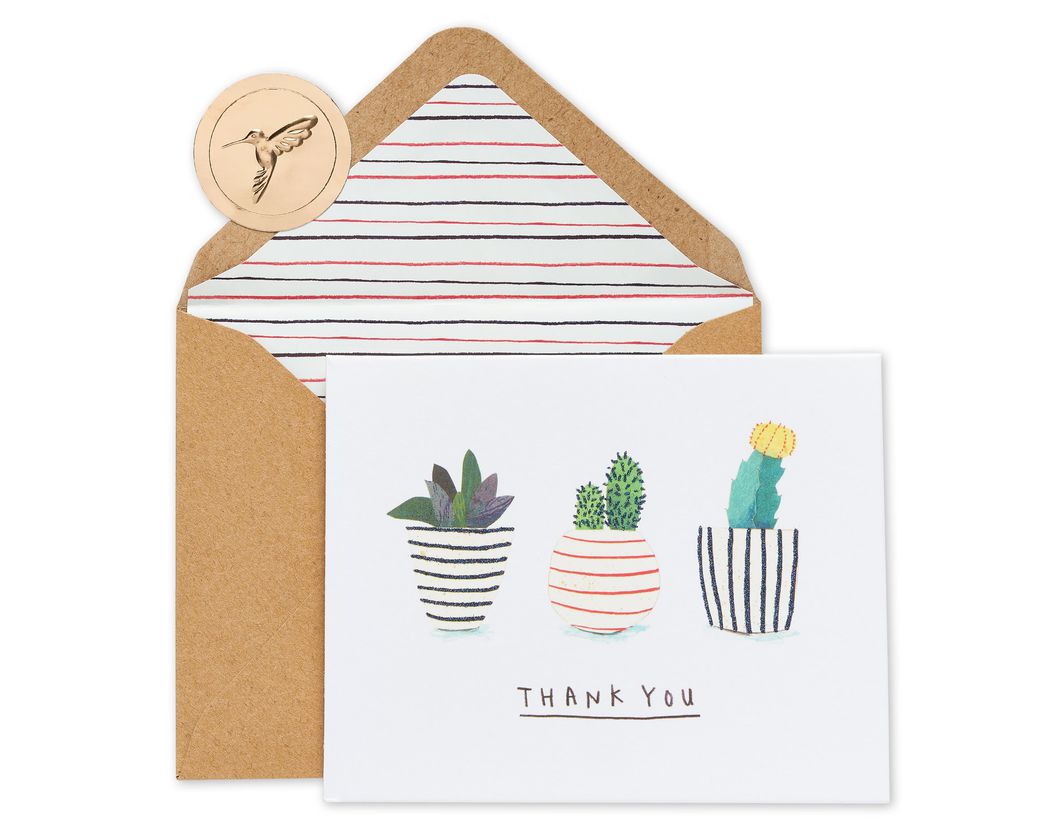 Succulents Boxed Thank You Cards And Envelopes, 20-Count