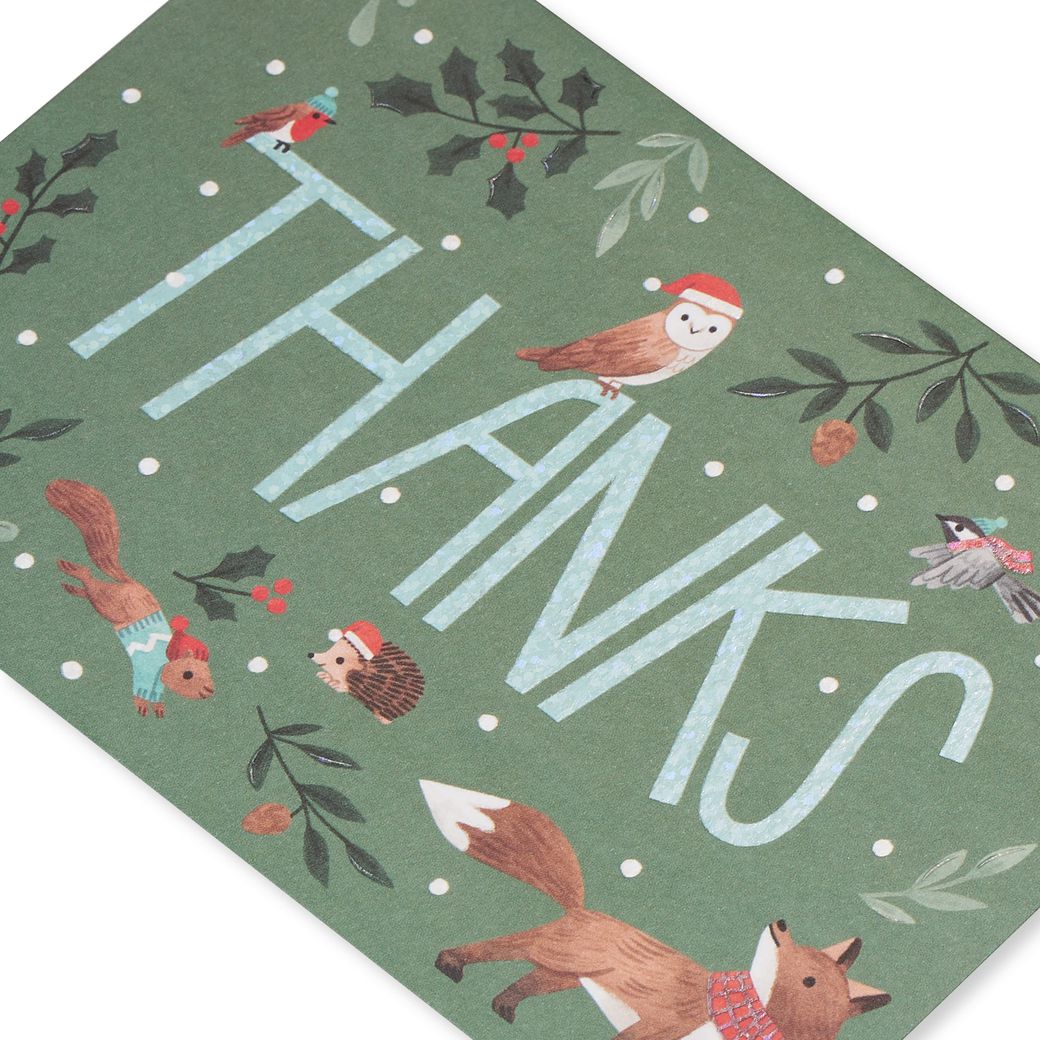 Papyrus Thank You Blank Boxed Holiday Cards, 12-Count 