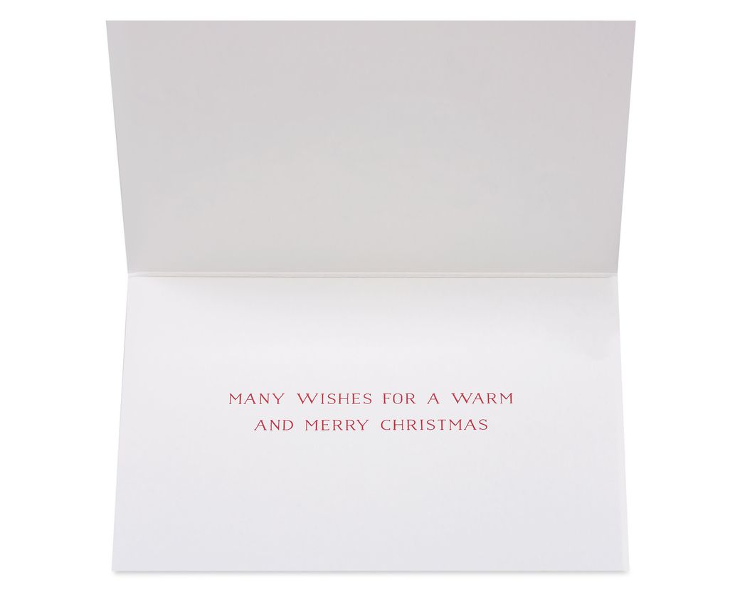 Noel And Holly Holiday Boxed Cards, 20-Count - Papyrus