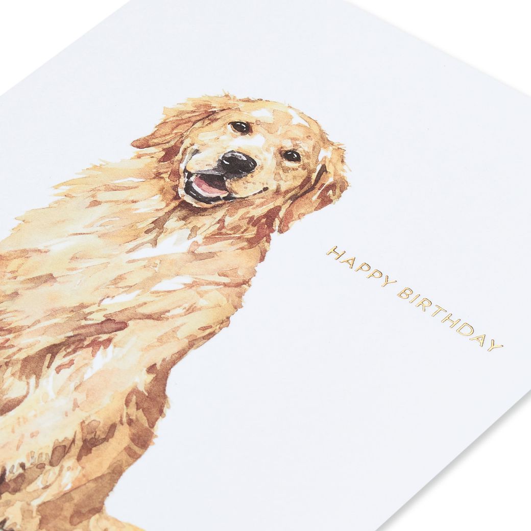 Golden Retriever Happy Birthday Card