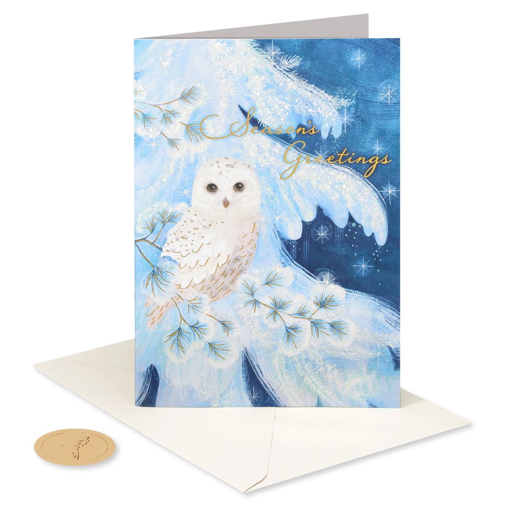 Snowy Owl Holiday Boxed Cards, 14-Count - Papyrus