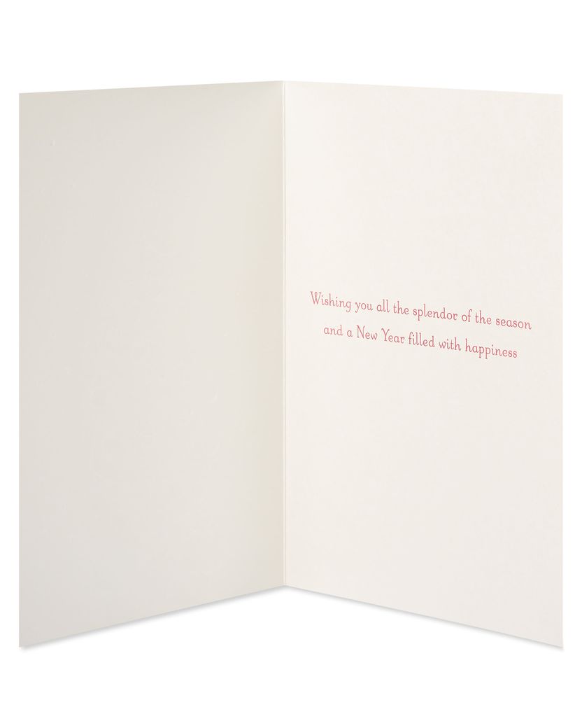 Splendor Of The Season Christmas Boxed Cards - Glitter-Free, 12-Count ...