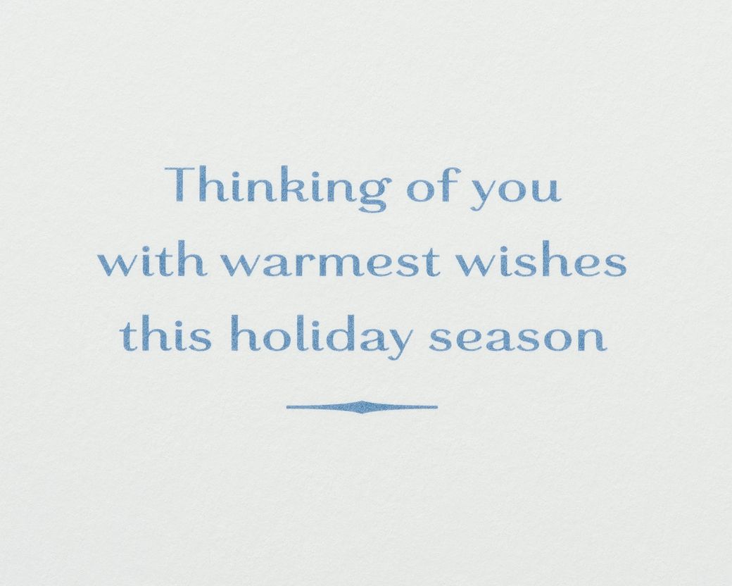 Thinking Of You With Warmest Wishes Holiday Boxed Cards, 12-Count - Papyrus