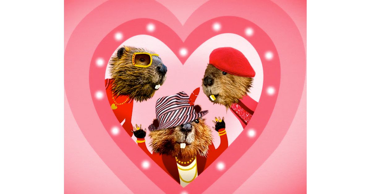 Beaver Fever Valentine Ecard Fun Song American Greetings