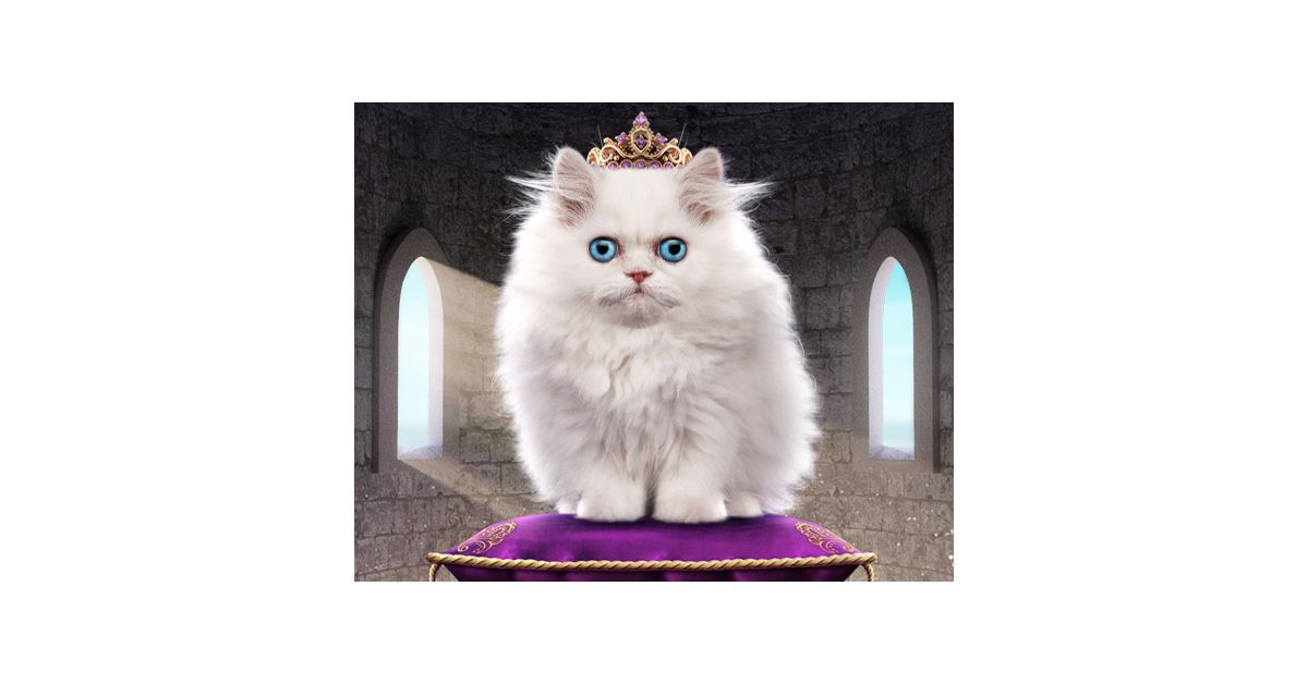 Talking Cat Princess Ecard (Personalize) American Greetings
