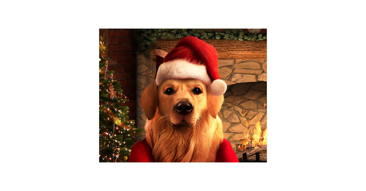 Talking Santa Dog Ecard (Personalize) American Greetings