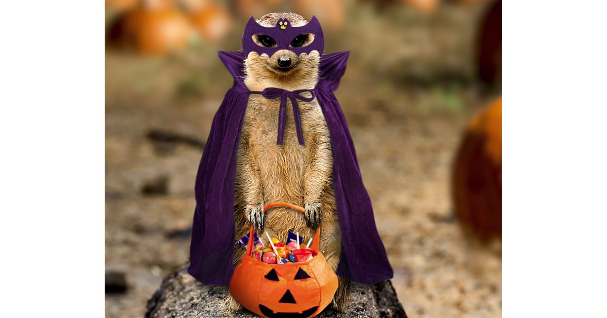 "I Want Candy" Halloween (Personalize)