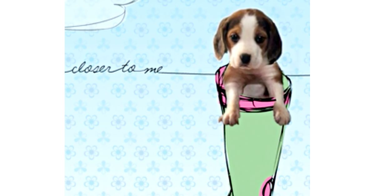 I Miss You Ecard | American Greetings