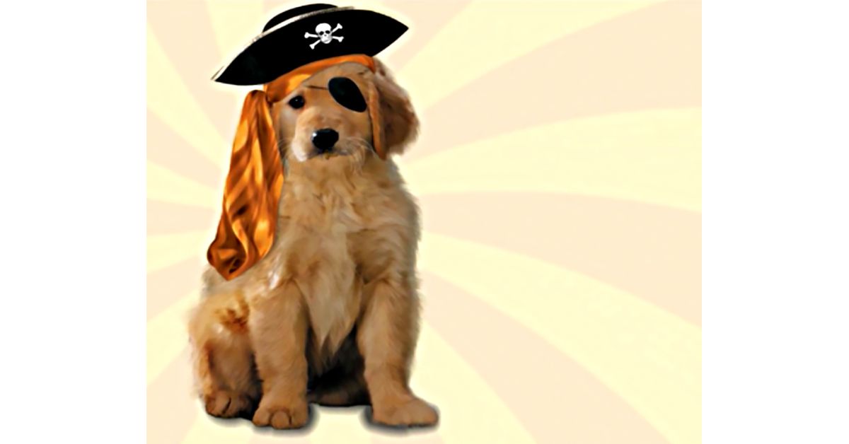 Puppy Pirates