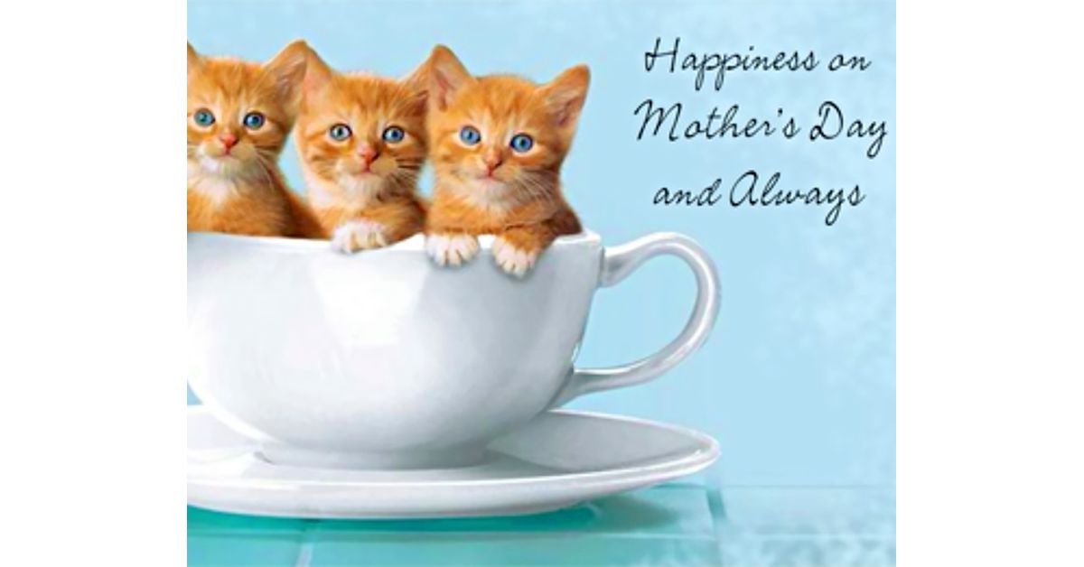 A Friend Is Ecard American Greetings