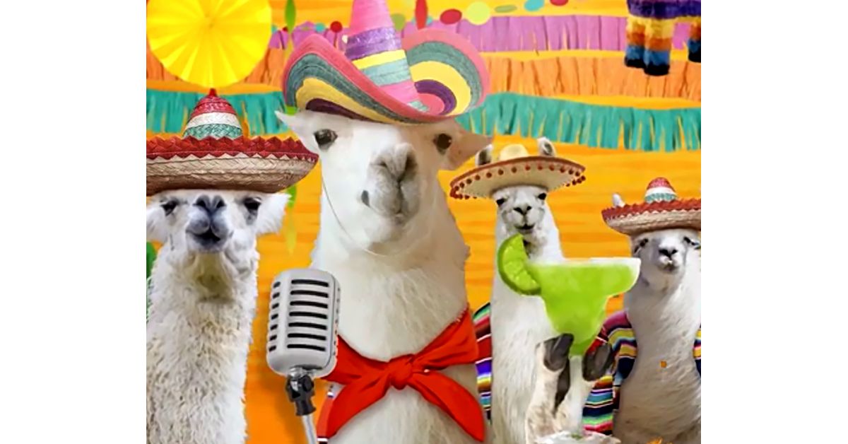 Llama La Bamba Cinco De Mayo Ecard Famous Song American Greetings
