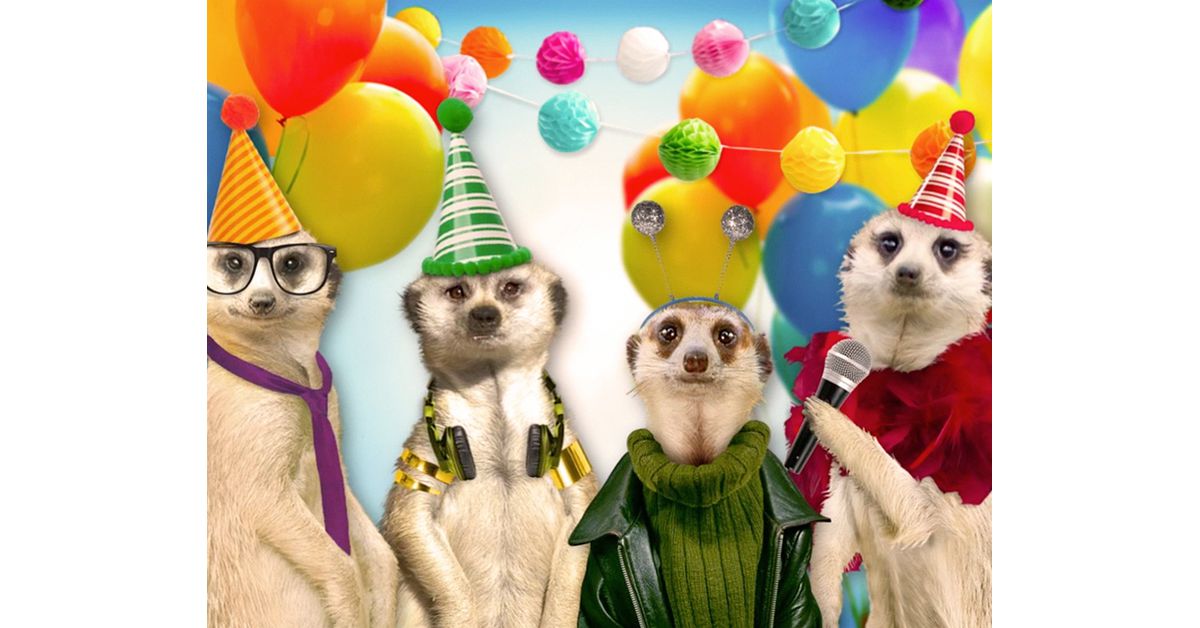 Meerkat Birthday Ecard Fun Song American Greetings