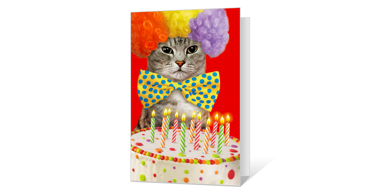 birthday cat ittude printable american greetings
