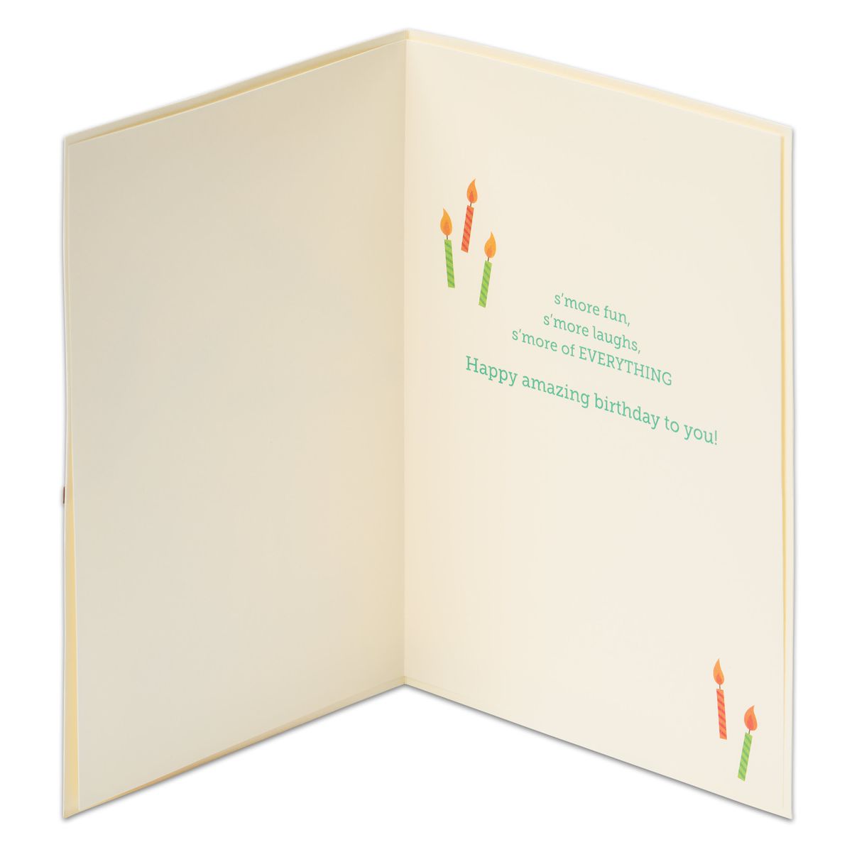 Multiprocessed Birthday S'more And S'more Birthday Greeting Card For