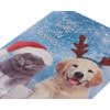 Cats And Dogs Christmas Boxed Cards And White Envelopes, 12Count