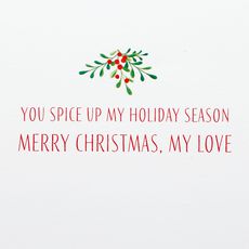 You Spice up my Holiday Season Romantic Christmas Greeting Card Image 3