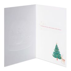  Joy and Wonder Christmas Boxed Cards with Envelopes, 12-Count