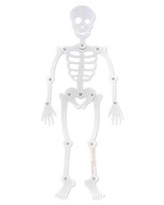 Skeleton Halloween Greeting Card Image 2