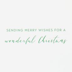 Merry Wishes Christmas Boxed Cards with Envelopes - Designed by Bella Pilar, 16-Count