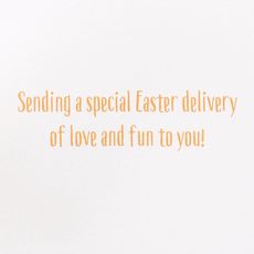 Special Easter Delivery Easter Greeting Card with Bunny Finger Puppet Image 3