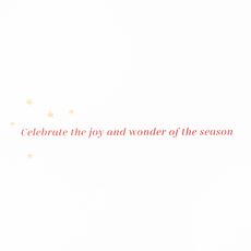  Joy and Wonder Christmas Boxed Cards with Envelopes, 12-Count