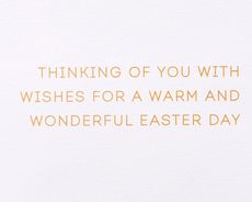 Wonderful Easter Day Easter Greeting Card Image 3